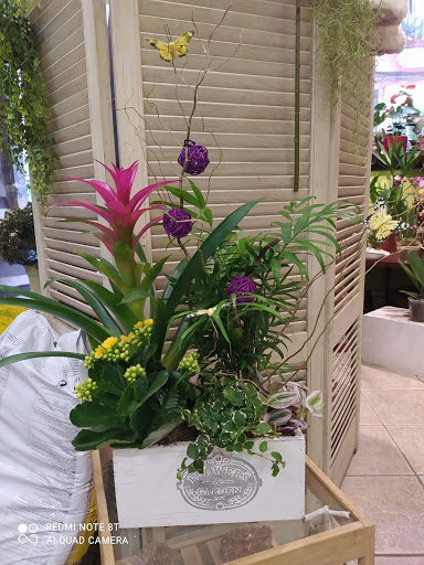 Gema Floristería - Thumbnail
