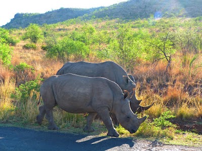 Photos of Mmilo Tours cc