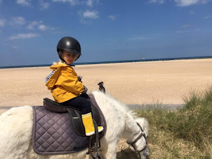 Photo n°23 de EARL CEO David AISSA à Ouistreham (Complexe sportif)
