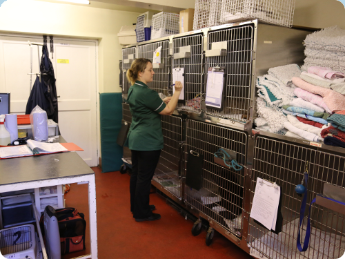 Ryedale Vets Pickering - Thumbnail