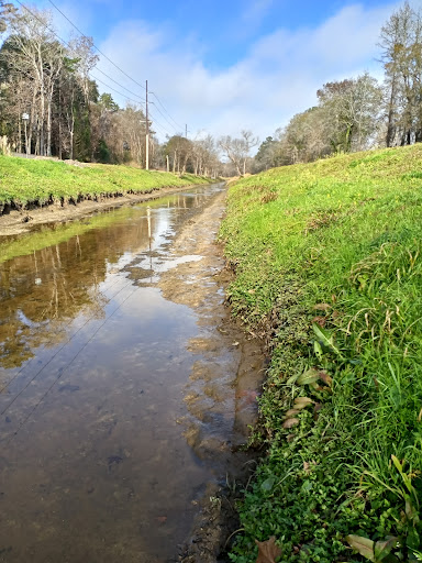 Sawmill Branch Trail - YMCA Trailhead & Parking