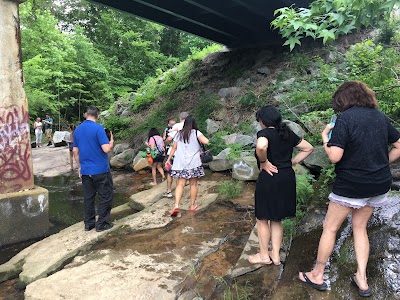 Photos of Nottaway Falls Park