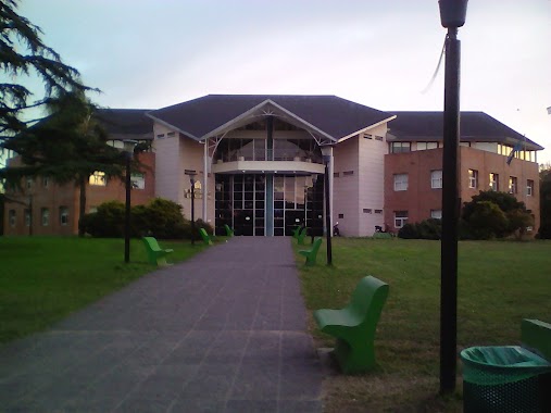 Estadio Municipal, Author: Lucia Vega