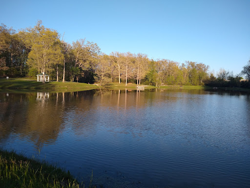Binkley Woods and Spector Lake