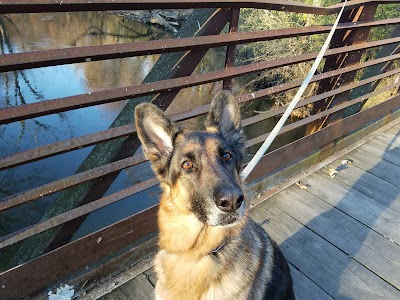 Salt Creek Woods Nature Preserve