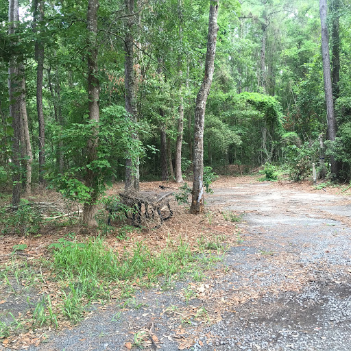 Charleston AFB Military RV Park - Thumbnail