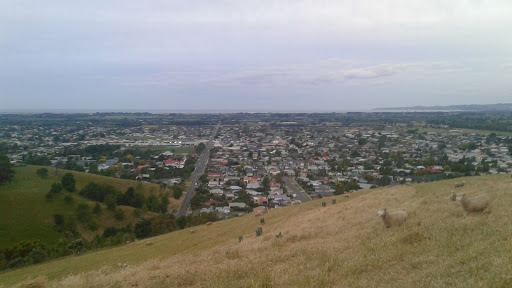 Taradale Intermediate