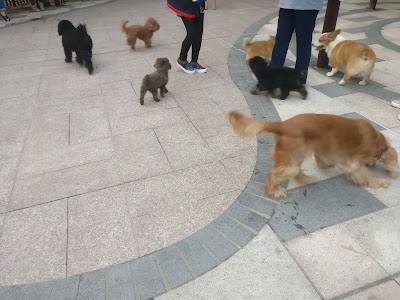 Photos of 富亨寵物公園