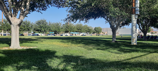 Luckie Park Skate Park - Thumbnail