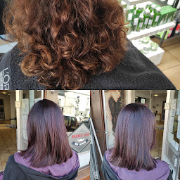 Photo n°10 de Côté Soleil à Fourmies (Barbier)