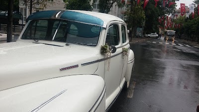 Photos of Alagul Cicekcilik