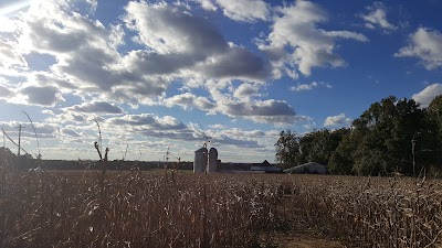 Spider Hall Farm