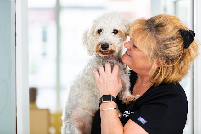 Reviews of Summerhill Veterinary Centre in Newport - Veterinarian