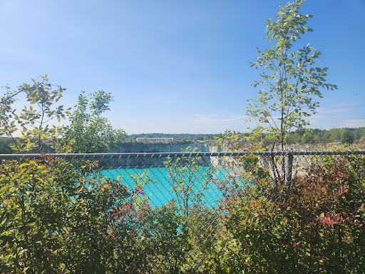 Bugline Trail - Visual