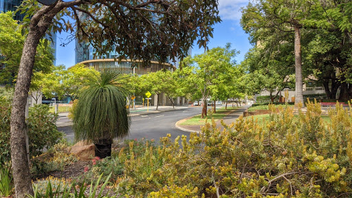 Florence Hummerston Reserve - Thumbnail