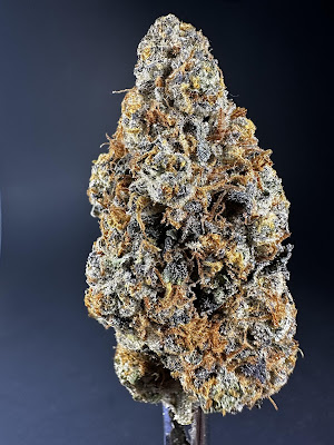 Photo of Canna Land Dispensary - Tulsa