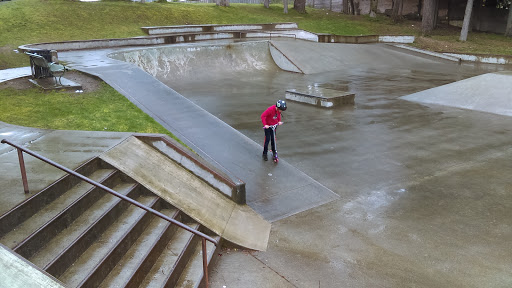 Ladysmith Skatepark Logo
