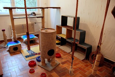 Photos of Tierarztpraxis am Gesundbrunnen - Dr. Volker Robl und Dr. Till Robl