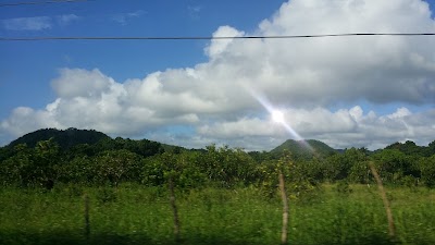 Photos of JTL Jamaica Tours Limited
