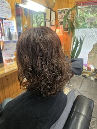 へあーさろん みる