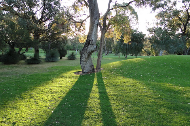 Hamersley Public Golf Course, Karrinyup, Australia