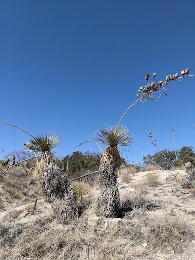 Living Desert State Park