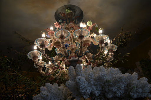 Rosa Luna Florist - Thumbnail