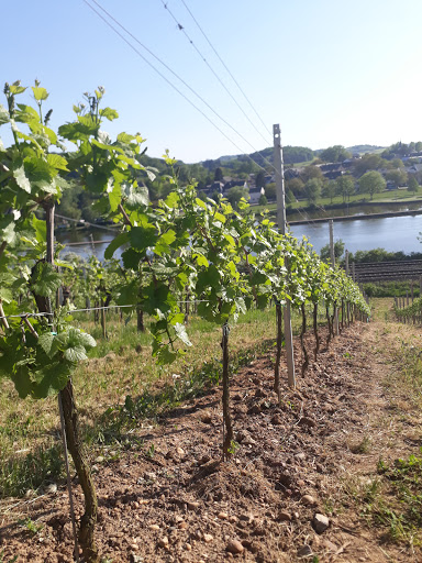 Weingut Zens