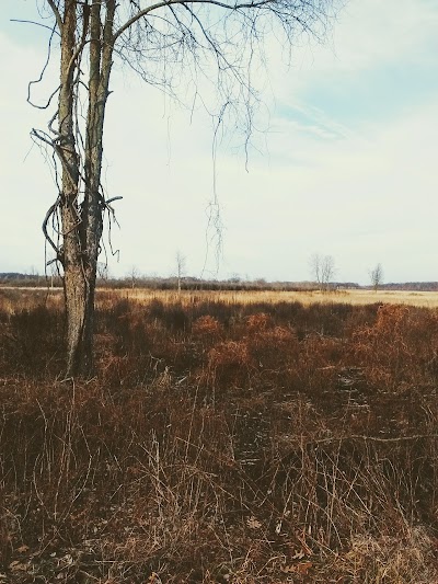 Photos of Haehnle Sanctuary