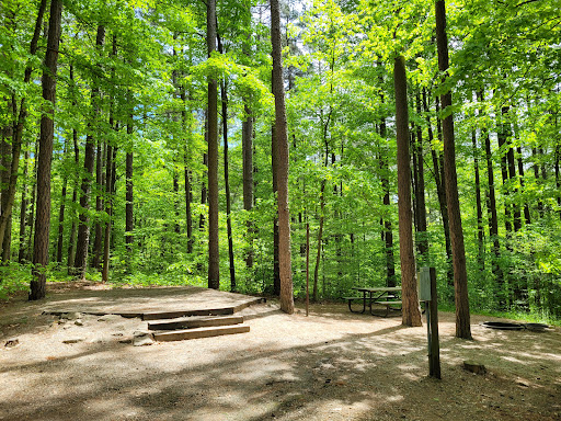 Indian-Celina Lakes South Slope Campground - Thumbnail