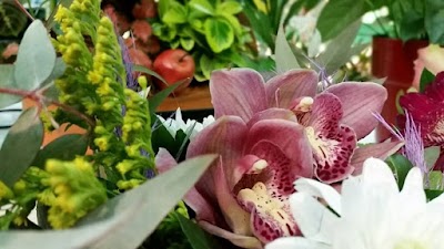 Photos of Fiori e Tulli &Alpha;&nu;&theta;&omicron;&pi;&omega;&lambda;&epsilon;ί&omicron; &Theta;&epsilon;&sigma;&sigma;&alpha;&lambda;&omicron;&nu;ί&kappa;&eta;