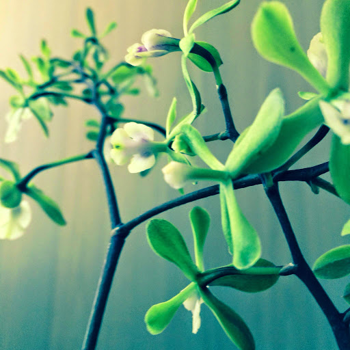 Bespoke Physiotherapy - Visual