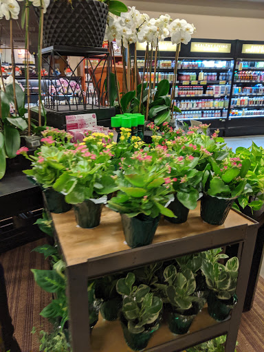 HEB Bloom - Visual