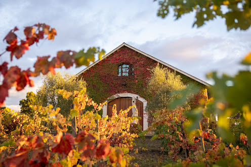 Photo of Gamba Vineyards & Winery