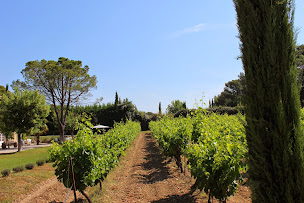 Photo n°6 de Le Mas De Gancel à Vernègues (Hébergement)