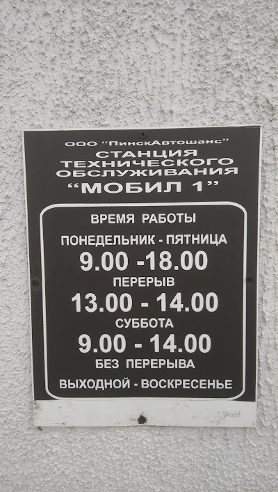 Photos of Pinskavtoshans OOO