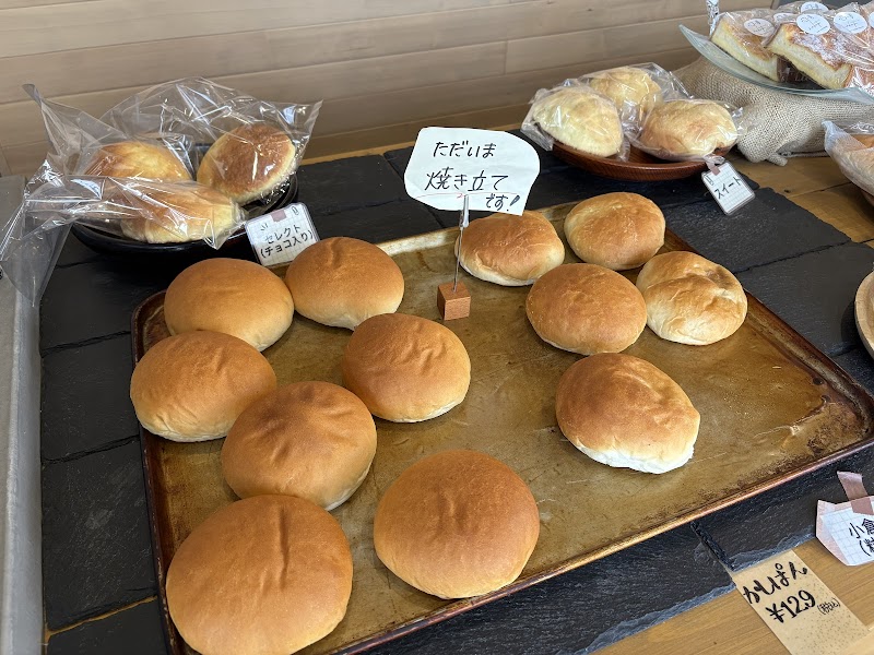 nakata+ ナカタプラス