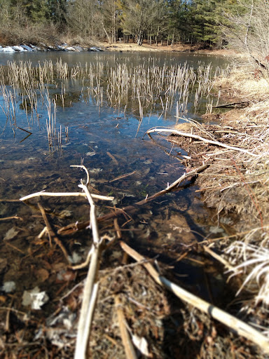 Henderson Lake Disc Golf Course - Thumbnail