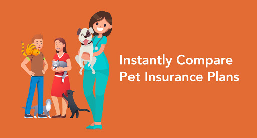 Pawlicy Advisor Inc. - Thumbnail