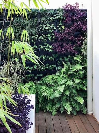 Sydney's Coastal Landscaping: Embracing the Sea Breeze