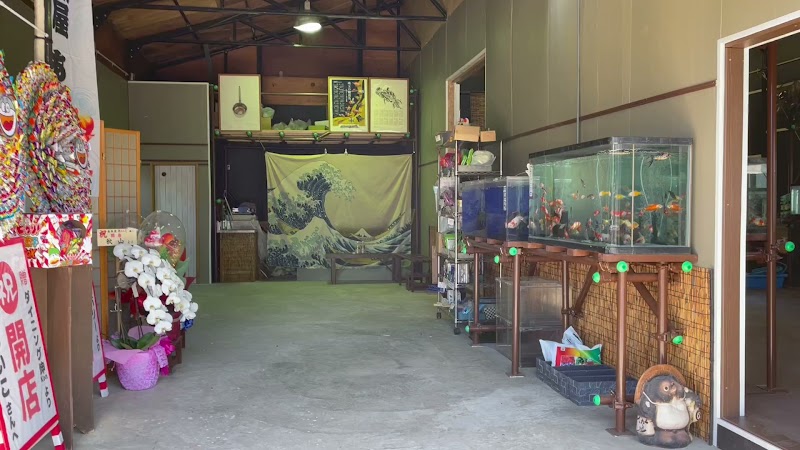金魚屋あいこ