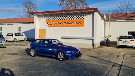 Naumann Motorsport - Visual