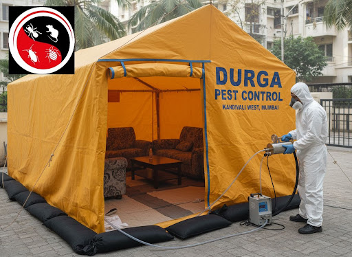 Wondering how fumigation really works and if it’s safe for your family? At Durga Pest Control in…