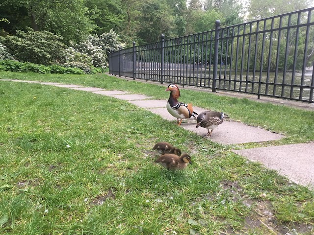 Volkspark Friedrichshain