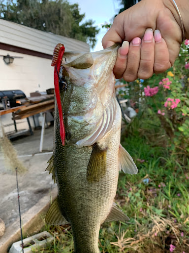 Lakeside Bait and Tackle - Thumbnail