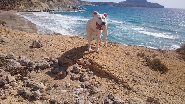 Playa Cala de Enmedio