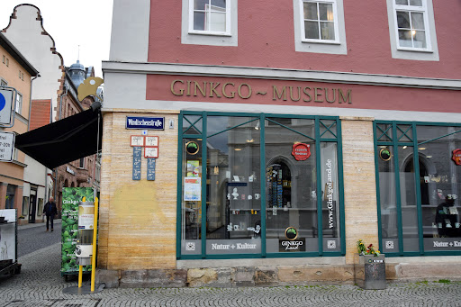 Ginkgo-Museum - Visual