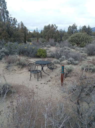 Blue Juniper Camping Grounds - Thumbnail