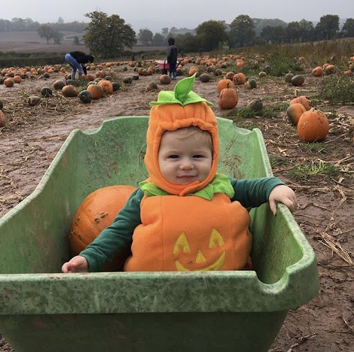 Pumpkin Pete's - Thumbnail