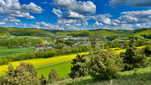 Weinhügel - Visual